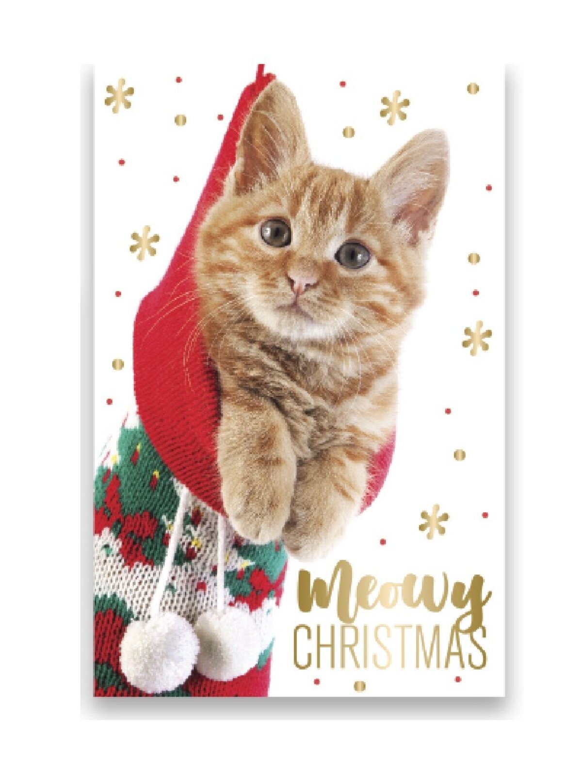 10x Cute Cats & Dogs Gold Foil Christmas Greeting Cards Pack | 17cm — image 2