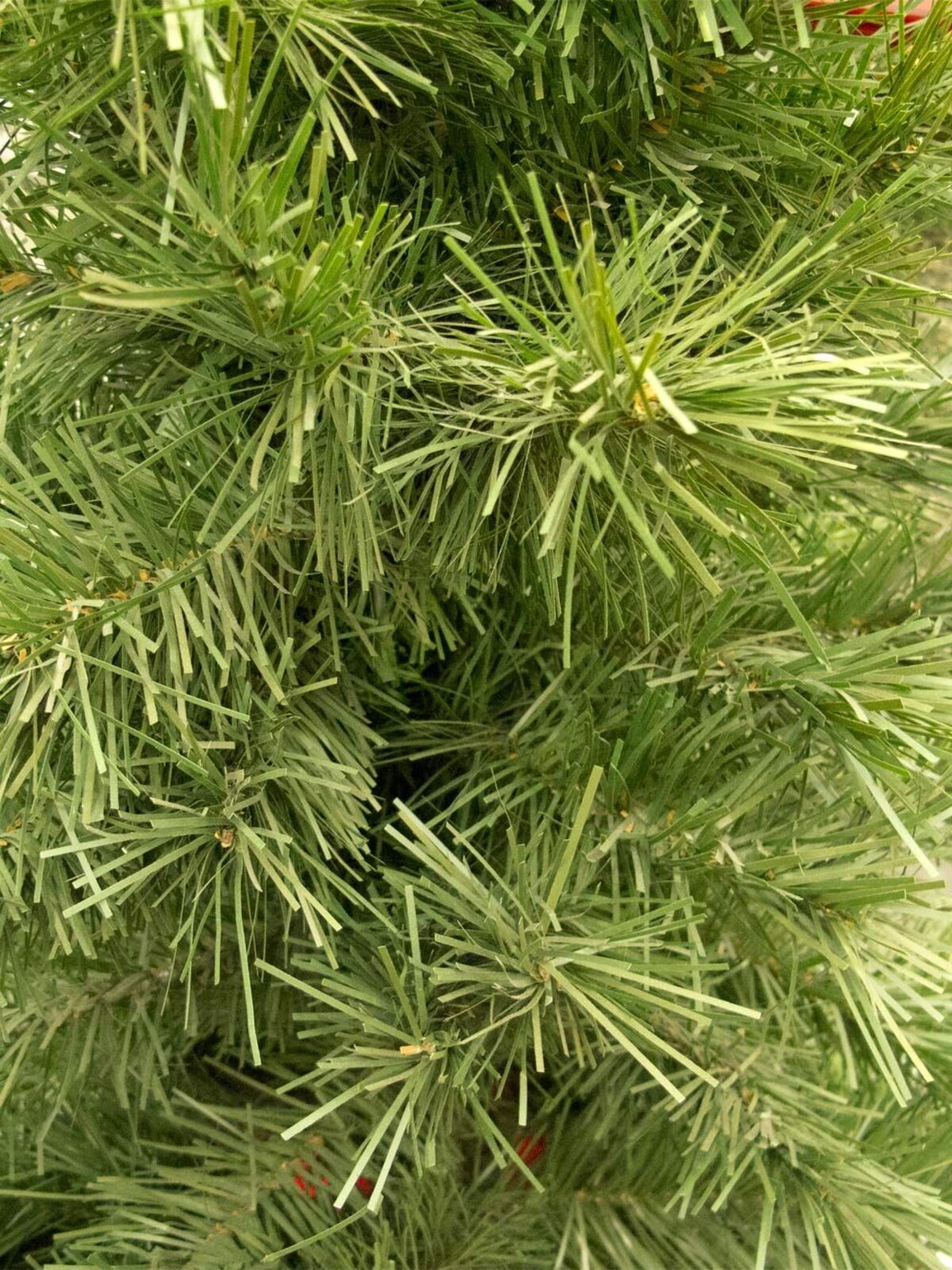 1.2m Valley Fir Evergreen Christmas Sapling Tree | 154 Tips & Attached Branches — image 4