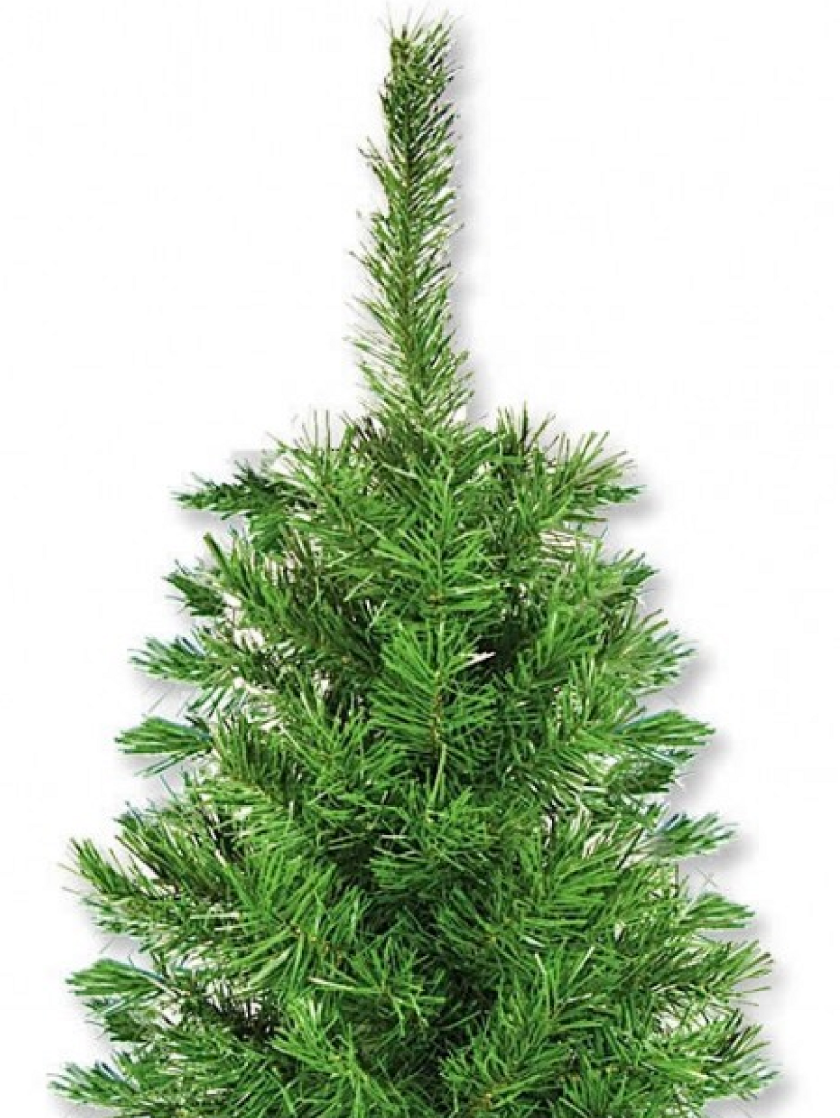 1.2m Valley Fir Evergreen Christmas Sapling Tree | 154 Tips & Attached Branches — image 2