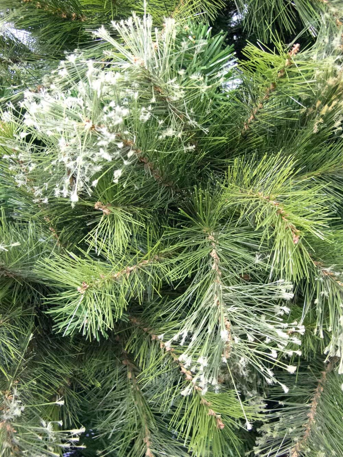 1.8m Stratford Mixed Needle Christmas Tree | 1129 Tips & Hinged Branches — image 5
