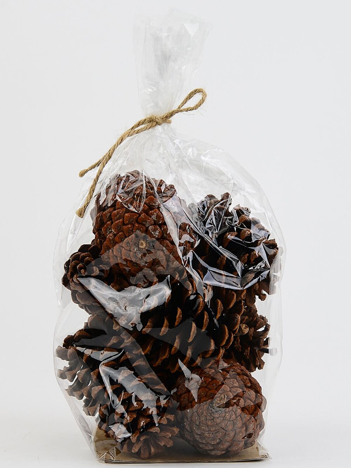 Natural Large Raw Pinus Pinecones | 250g — image 5