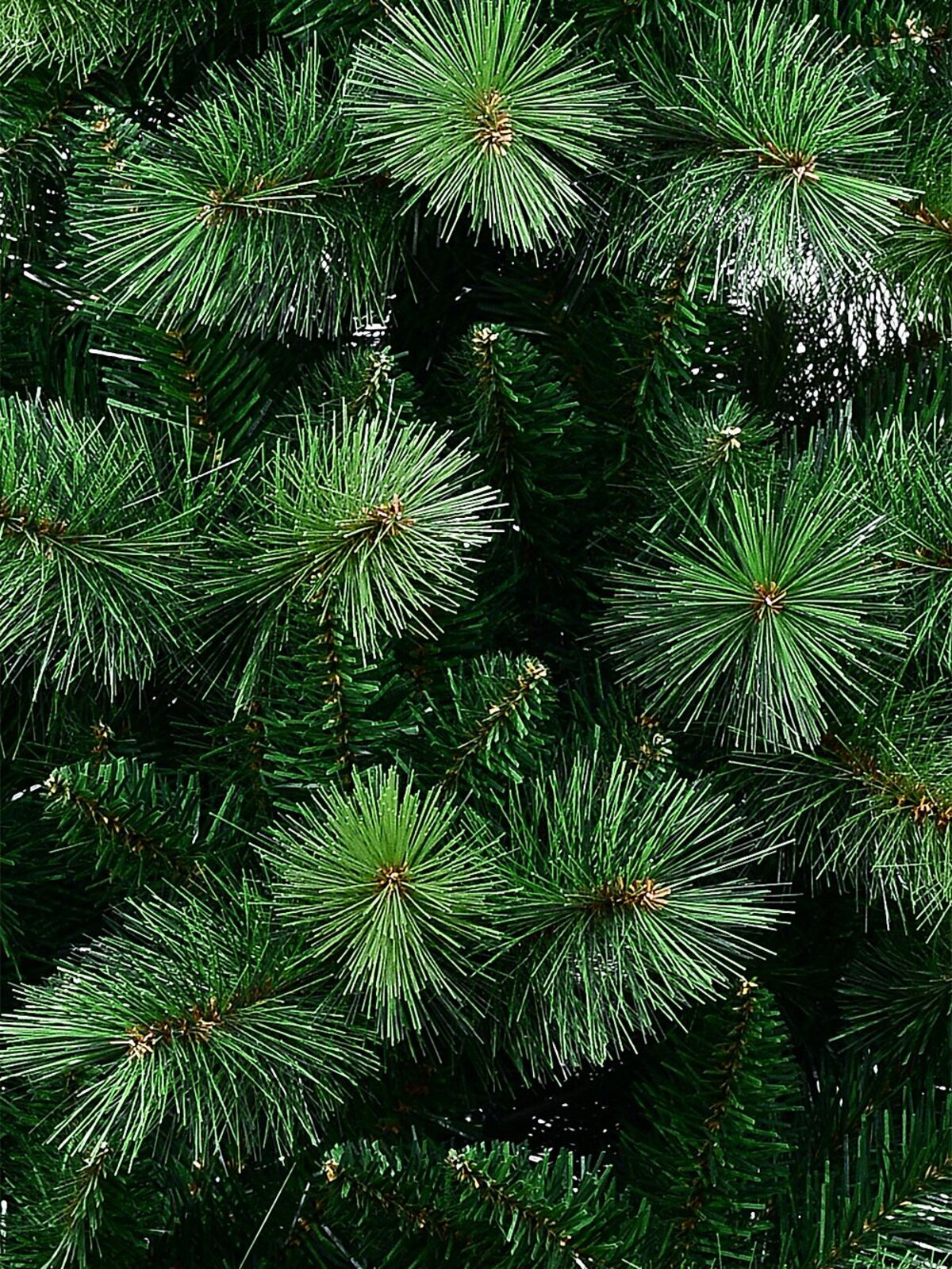 2.3m Weymouth Dual Leaf Christmas Tree | 1383 Tips & Hinged Branches — image 5