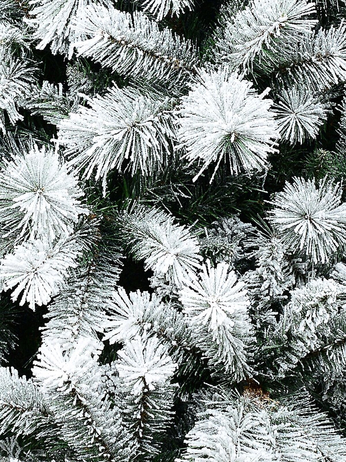 2.3m Yukon Winter Heavily Flocked Tree | 1265 Tips & Hinged Branches — image 5
