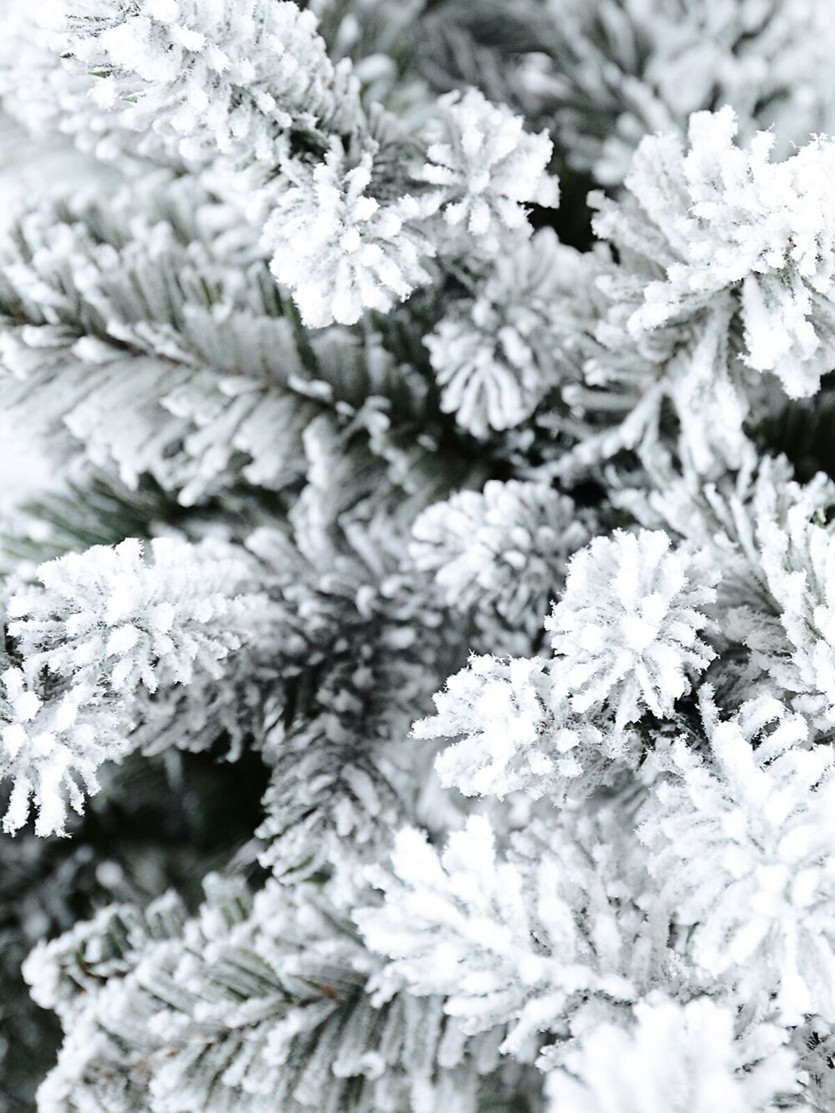2m Fort Leura Moderately Flocked Christmas Tree With 1499 Spruce Tips — image 4