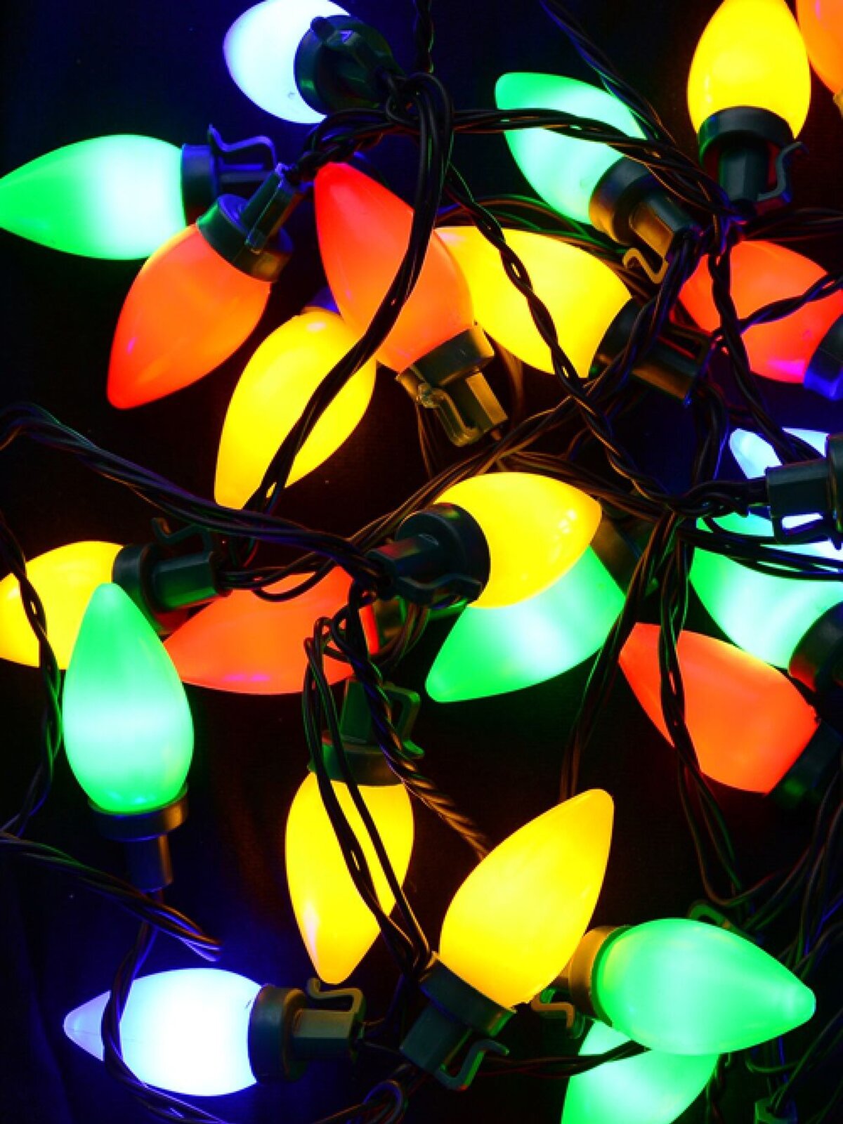 40 Multi Colour LED With C7 Bulb 3.9m String Light — image 4