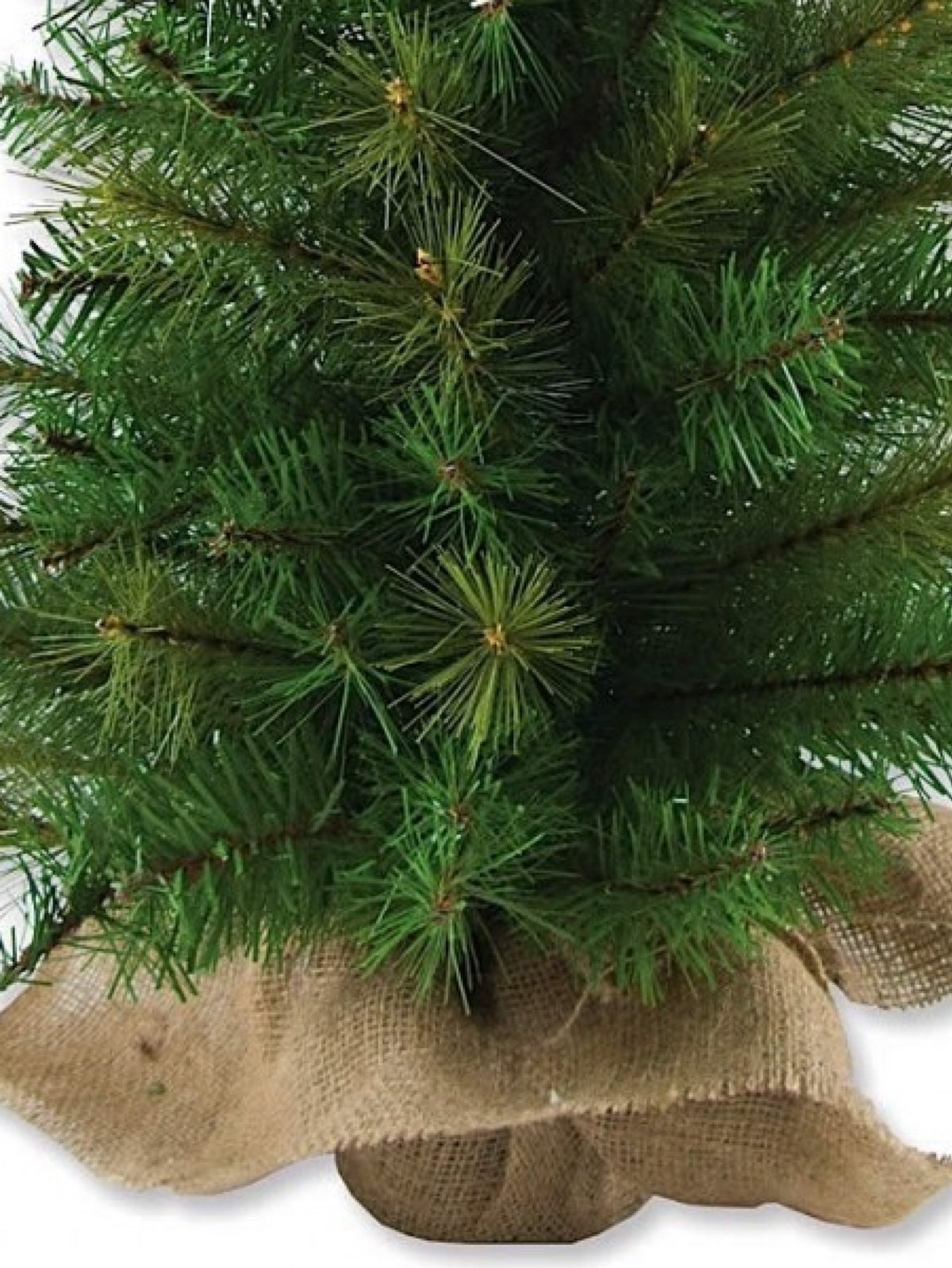 65cm Balsam Pine & Fir Needle Tabletop Tree | 104 Tips & Burlap Base — image 4