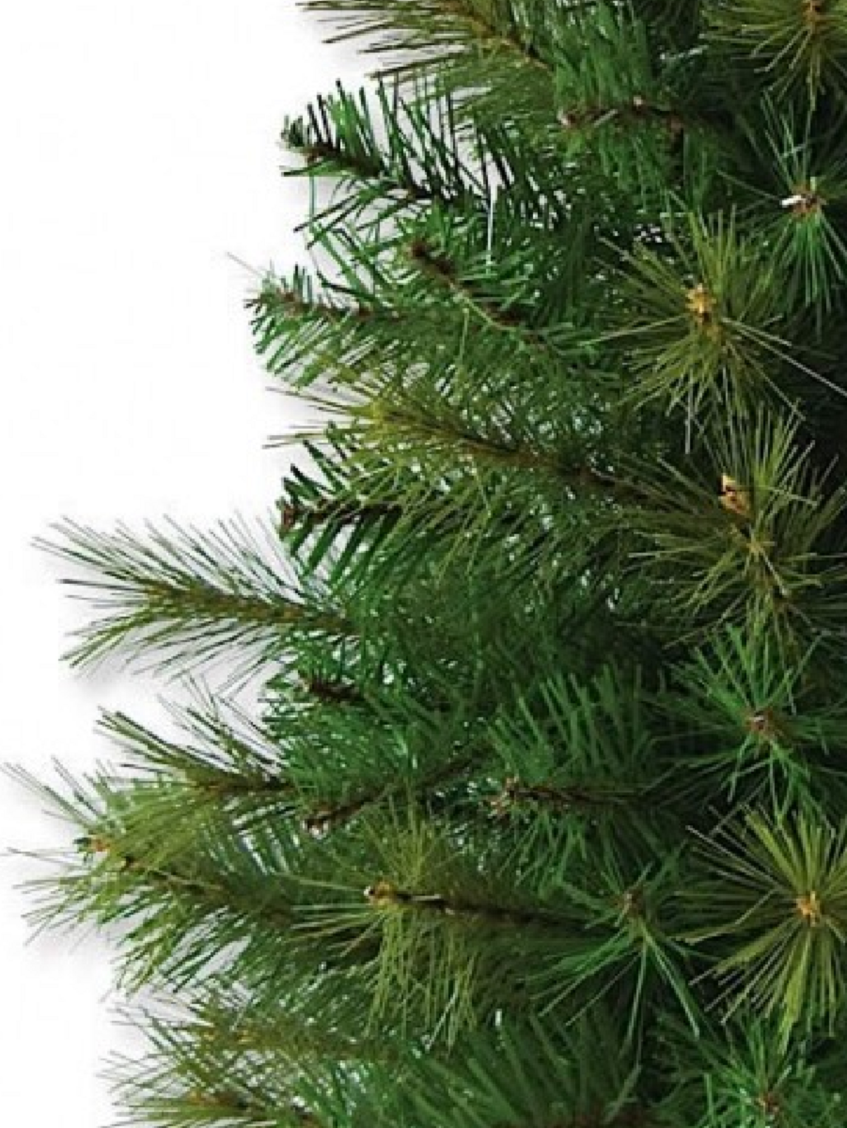 65cm Balsam Pine & Fir Needle Tabletop Tree | 104 Tips & Burlap Base — image 3