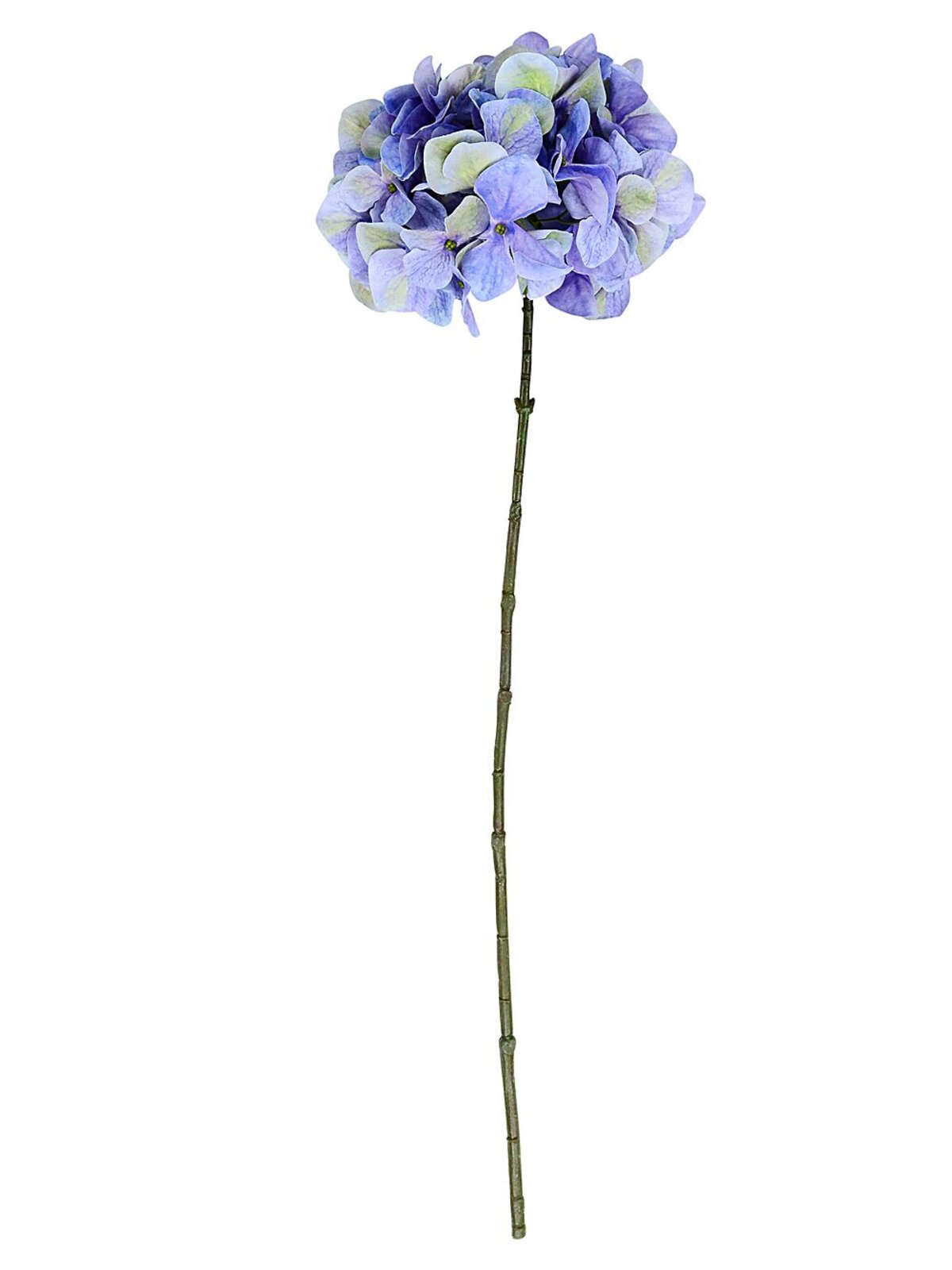 Blue With Green Hydrangea Floret Cluster Long Christmas Stem | 68cm — image 3