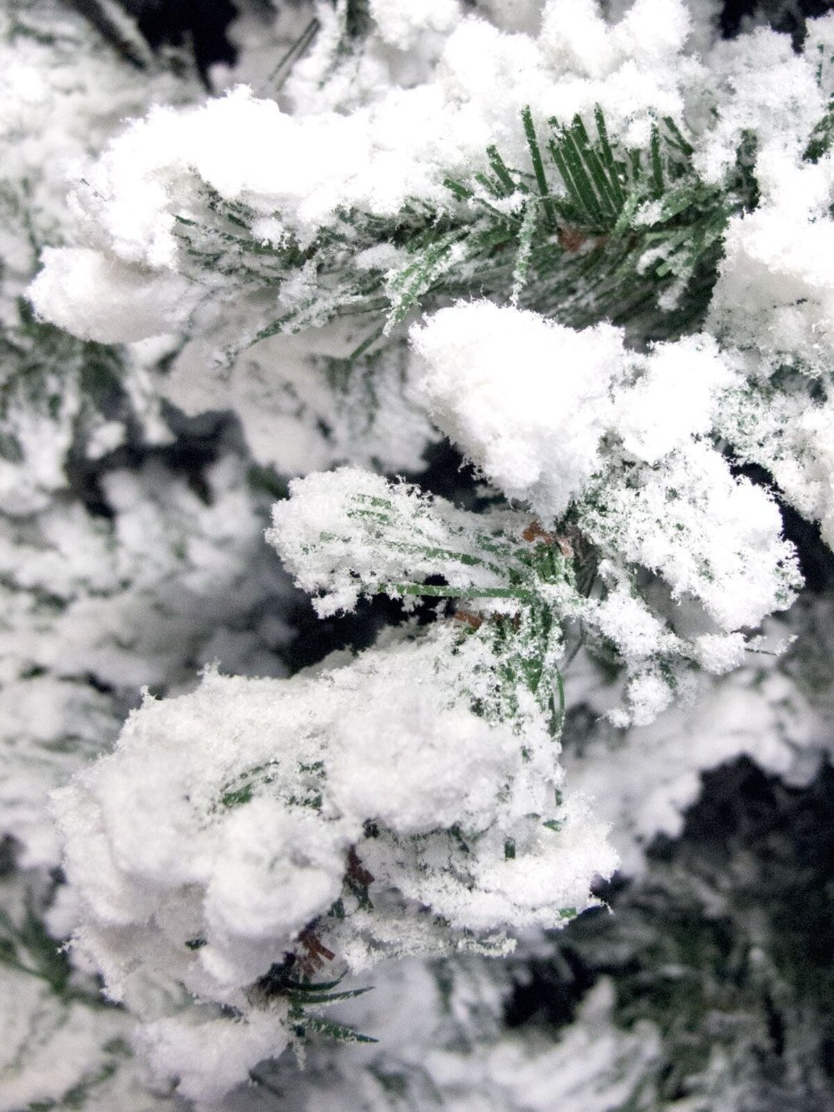 Antarctic Pine Heavily Flocked White Snow Christmas Tree 1495 Tips - 2.3m — image 4