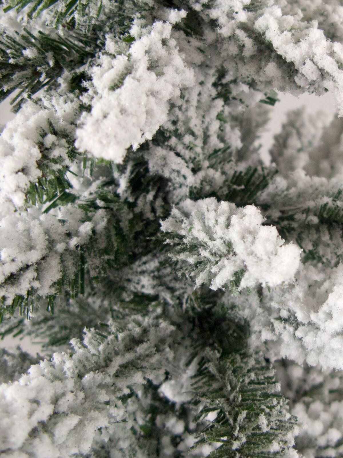 Antarctic Pine Table Top Tree - 45cm