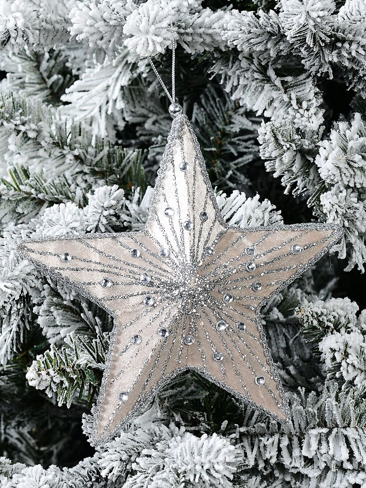 Dual Sided Champagne & Silver Star Whimsical Essential Ornament | 19cm — image 2