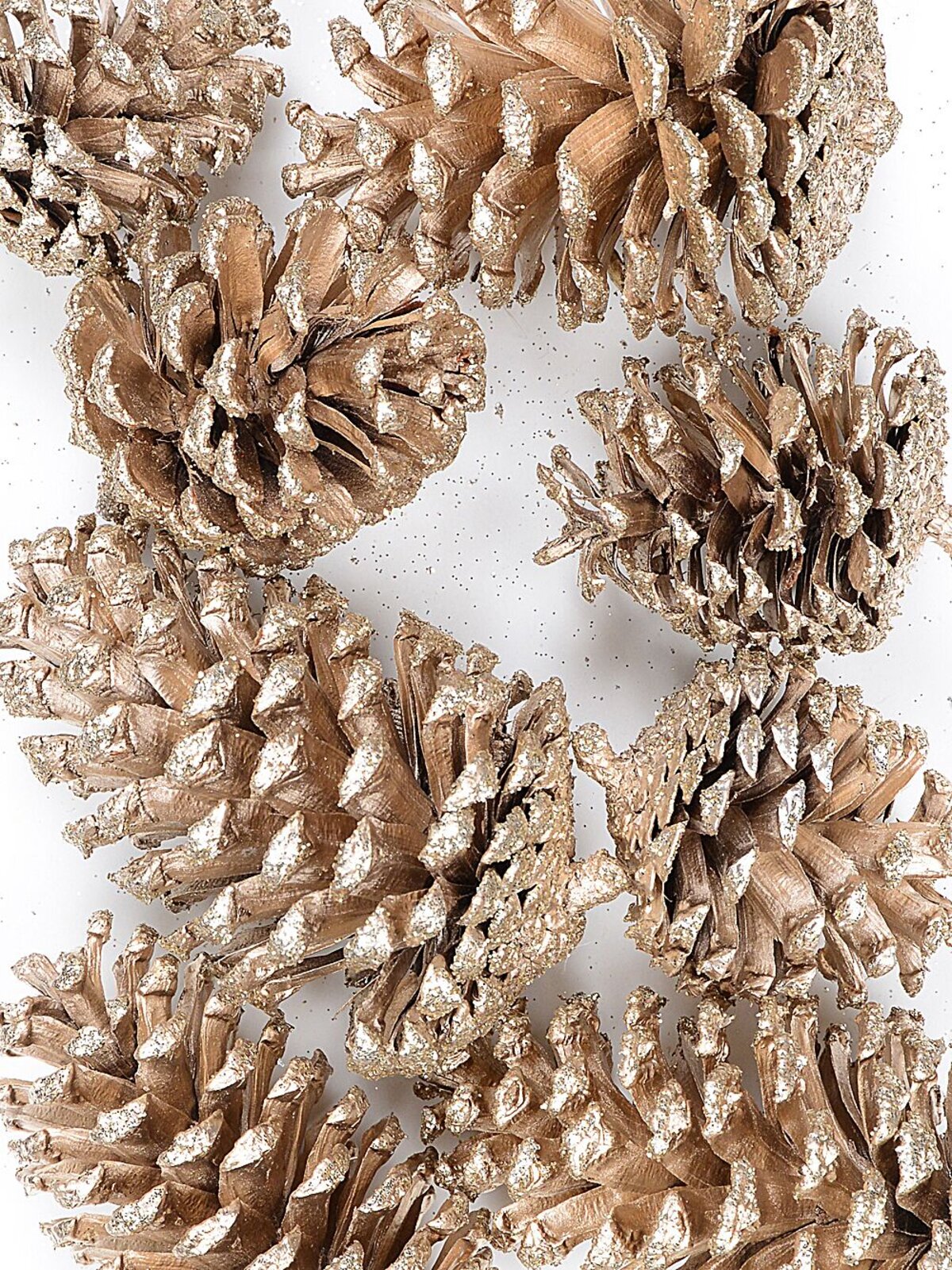 Natural Large Champagne Glittered Pinecones | 200g — image 5