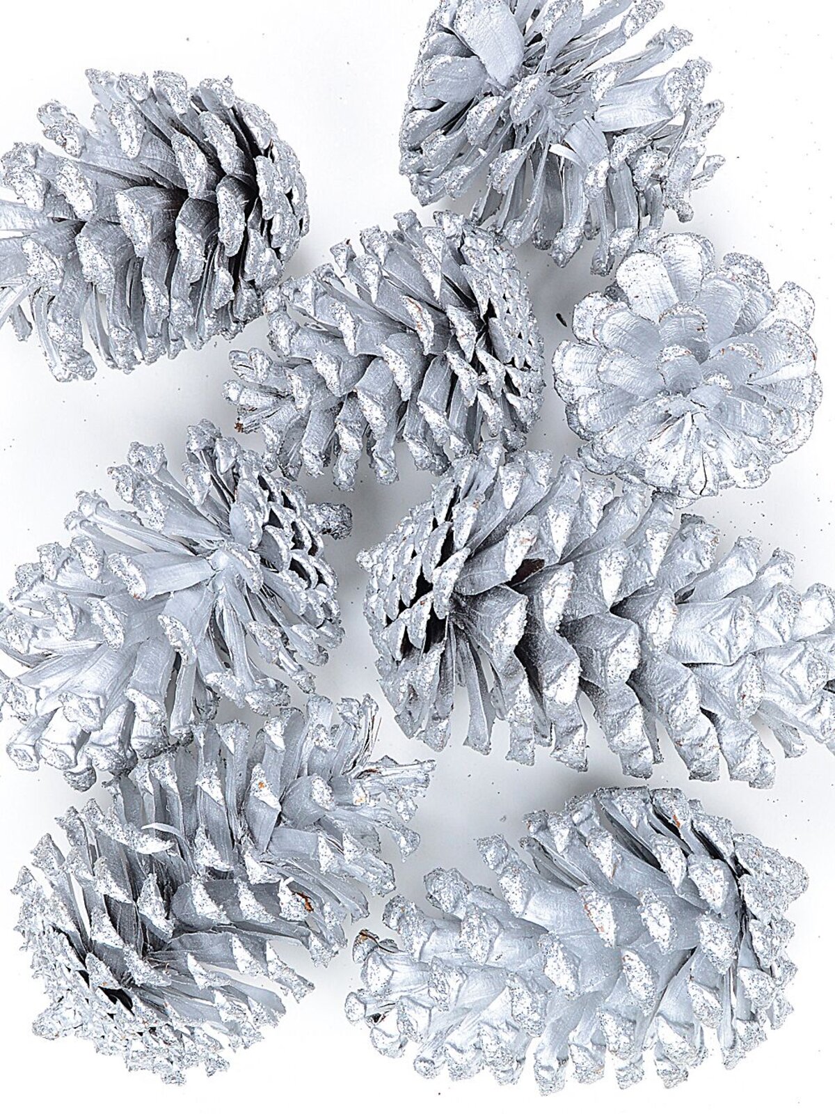 Natural Large Silver Glittered Pinecones | 200g — image 5