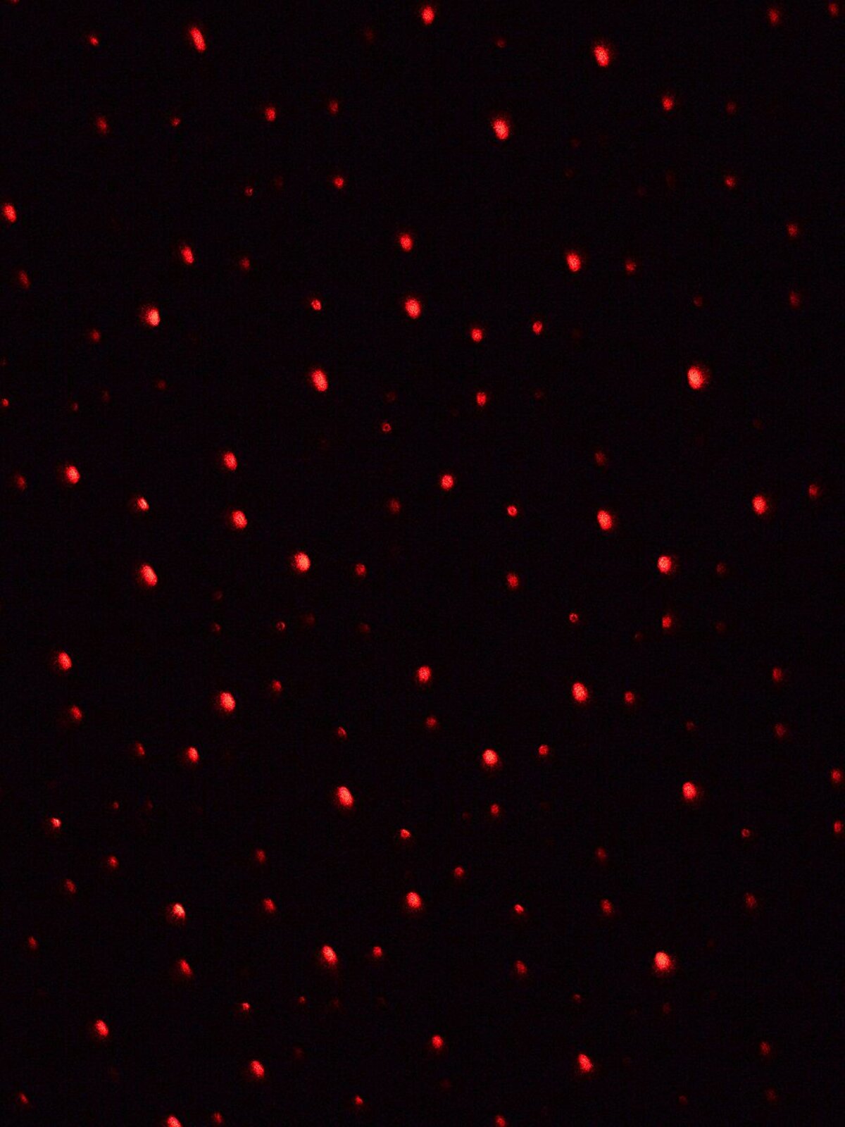 Red & Green Dot Starry Night LED Christmas Garden Laser Light |  5m x 5m — image 4