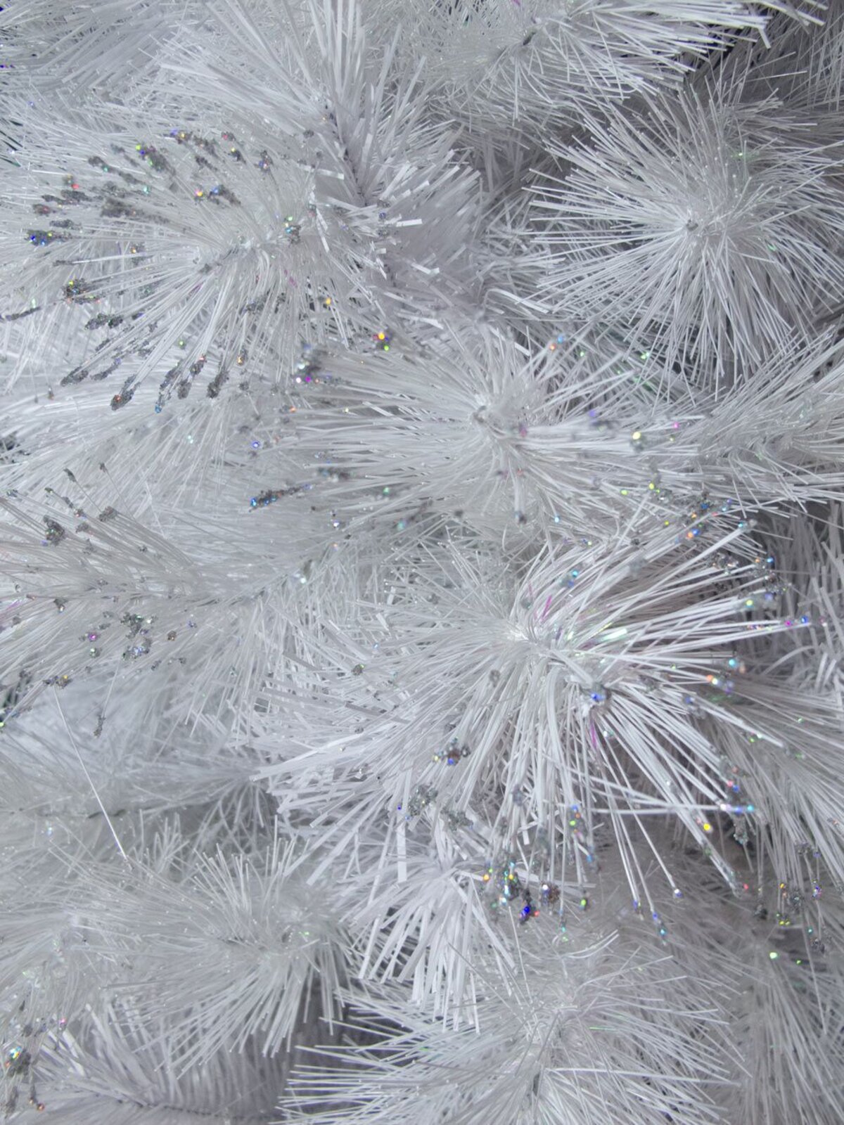 Winter Glacier Fir Christmas Tree - 2m — image 3