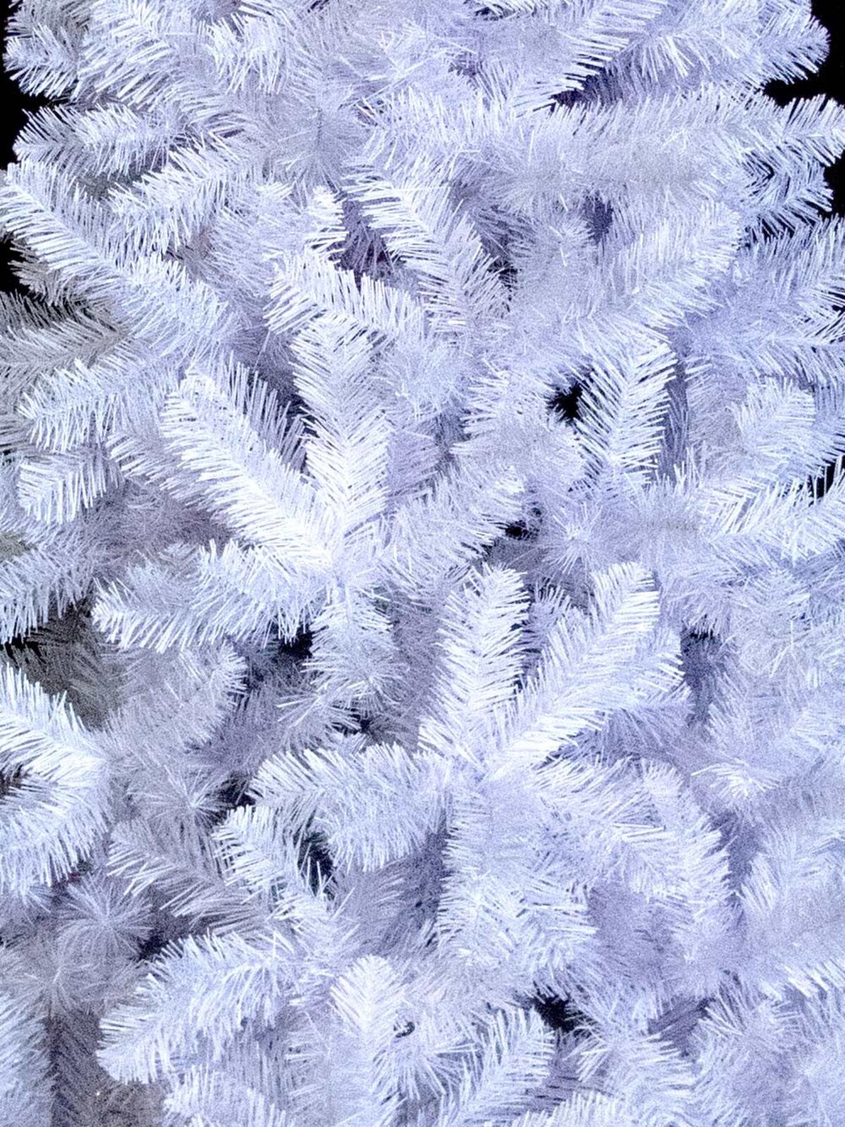 Winter White Pine Christmas Tree - 2.3m — image 3