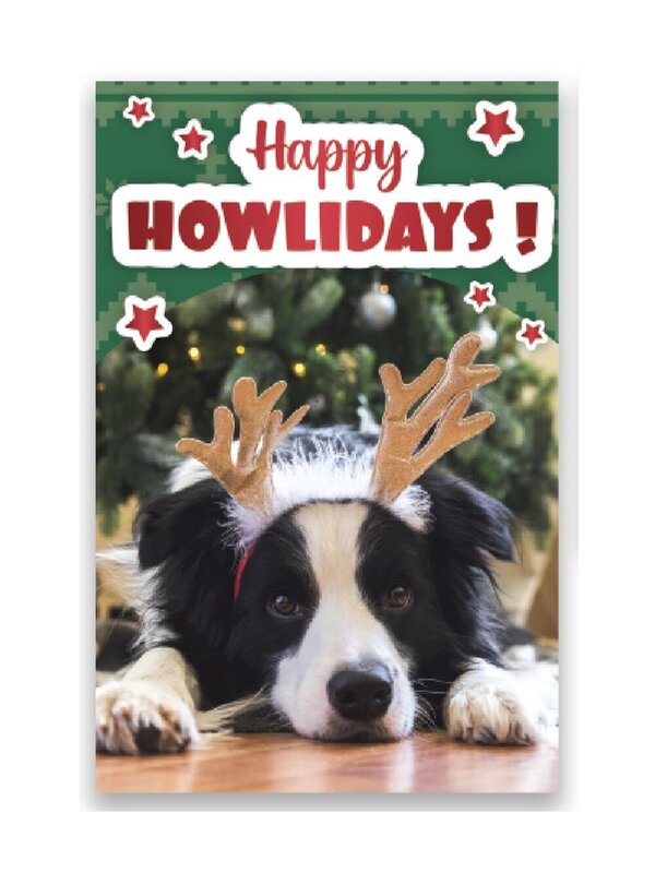 10x Cute Cats & Dogs Gold Foil Christmas Greeting Cards Pack | 17cm — image 3