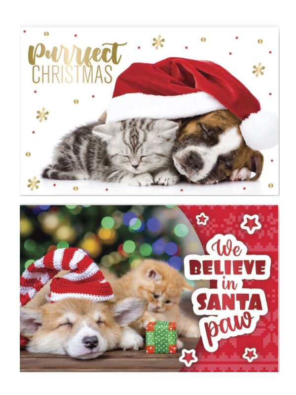 10x Cute Cats & Dogs Gold Foil Christmas Greeting Cards Pack | 17cm — image 4