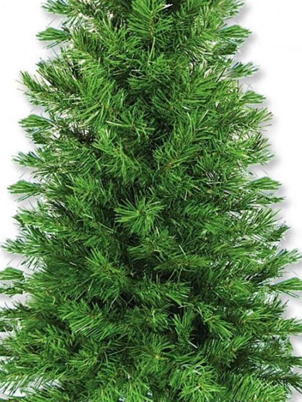 1.2m Valley Fir Evergreen Christmas Sapling Tree | 154 Tips & Attached Branches — image 3