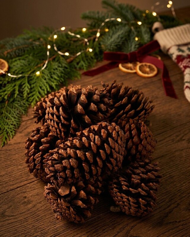 Natural Large Raw Pinus Pinecones | 250g — image 4