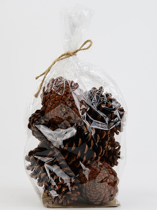 Natural Large Raw Pinus Pinecones | 250g — image 5
