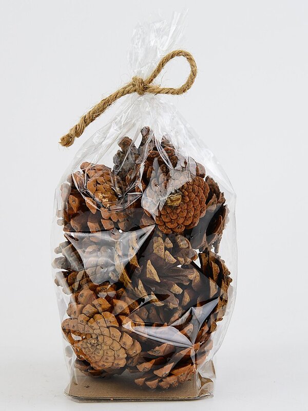 Natural Raw Siberian Spruce Pinecones | 150g — image 5