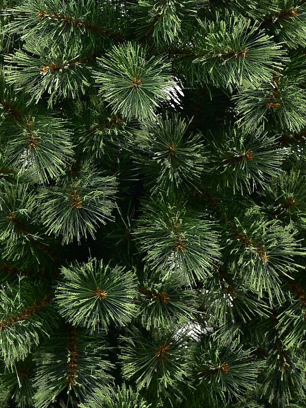 1.8m Colorado Springs Pine Christmas Tree | 494 Cashmere Tips — image 5