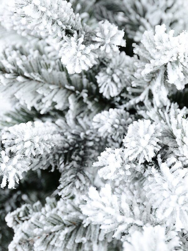 2m Fort Leura Moderately Flocked Christmas Tree With 1499 Spruce Tips — image 4