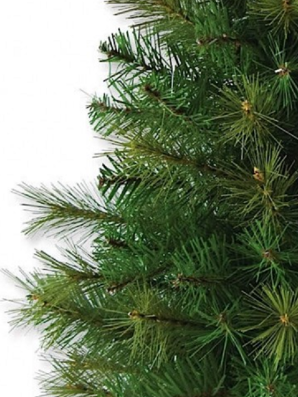 65cm Balsam Pine & Fir Needle Tabletop Tree | 104 Tips & Burlap Base — image 3