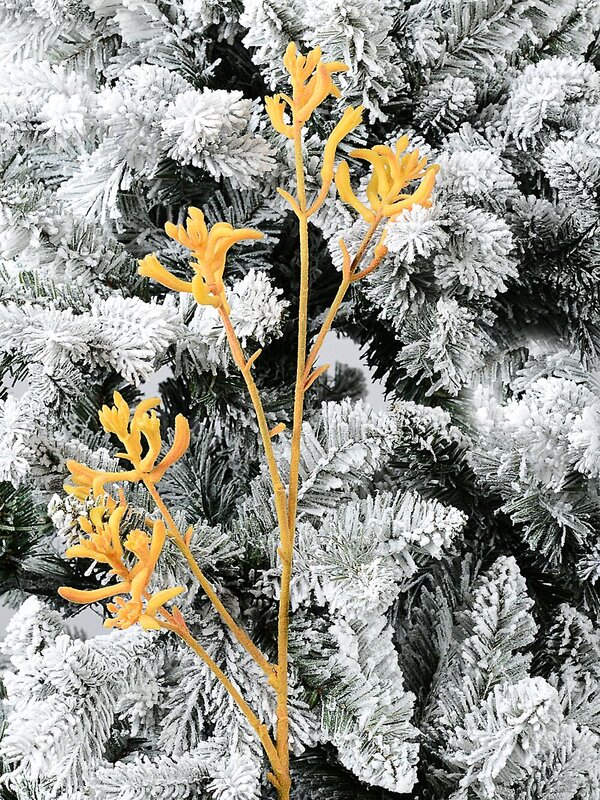 Kangaroo Paws Amber Velvet Anigozanthos Long Christmas Stem | 76cm — image 2