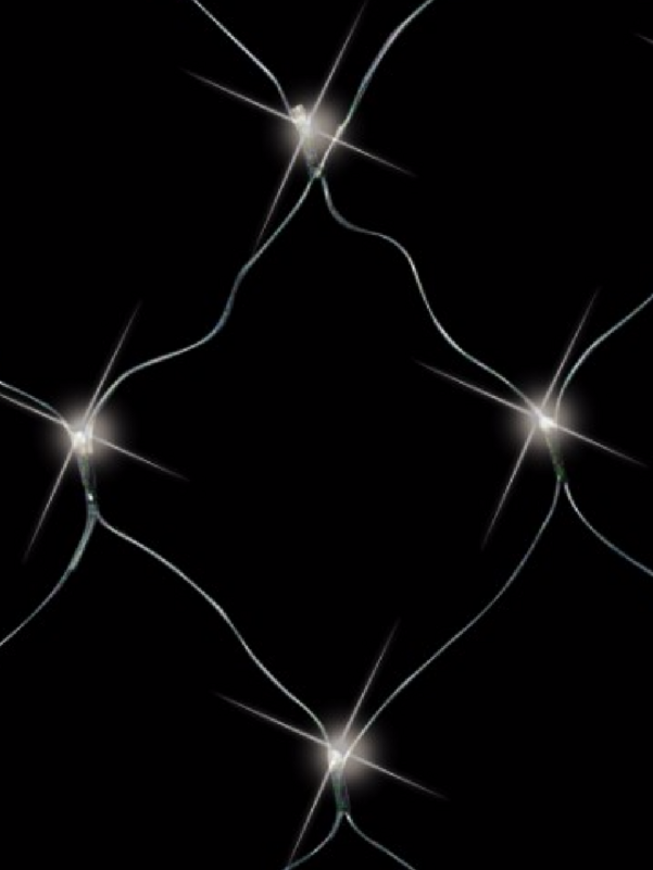 96 Cool White LED 1.3m x 2.1m Net Light — image 3
