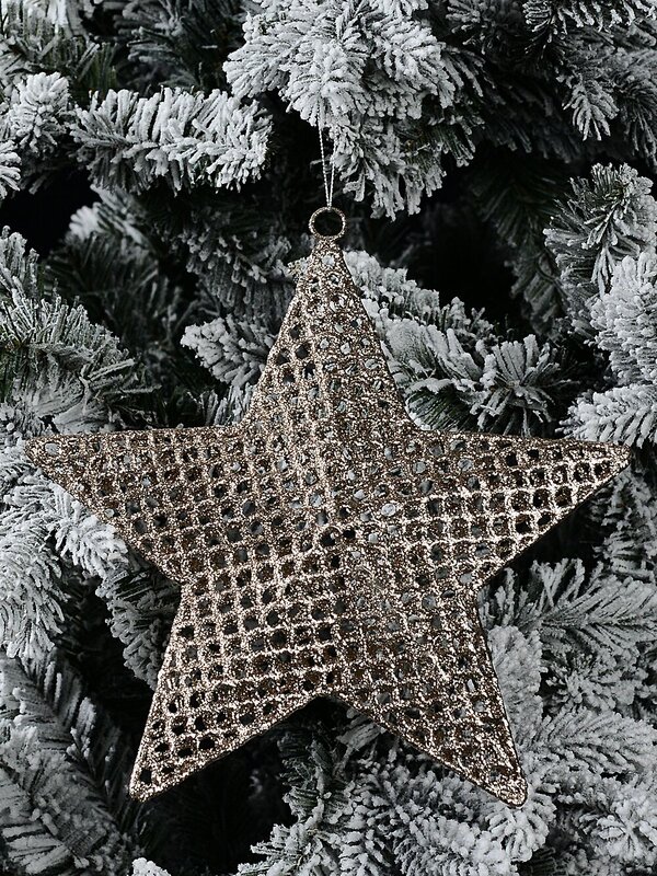 Champagne Glitter Thick Mesh Star Whimsical Essential Ornament | 26cm — image 2