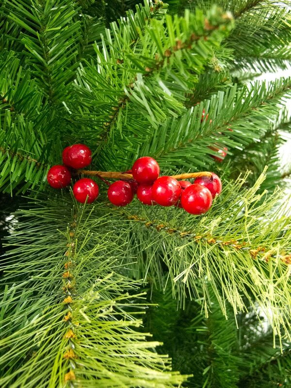 Douglas Fir Christmas Tree With Pine Cones & Red Berries - 1.83m — image 4