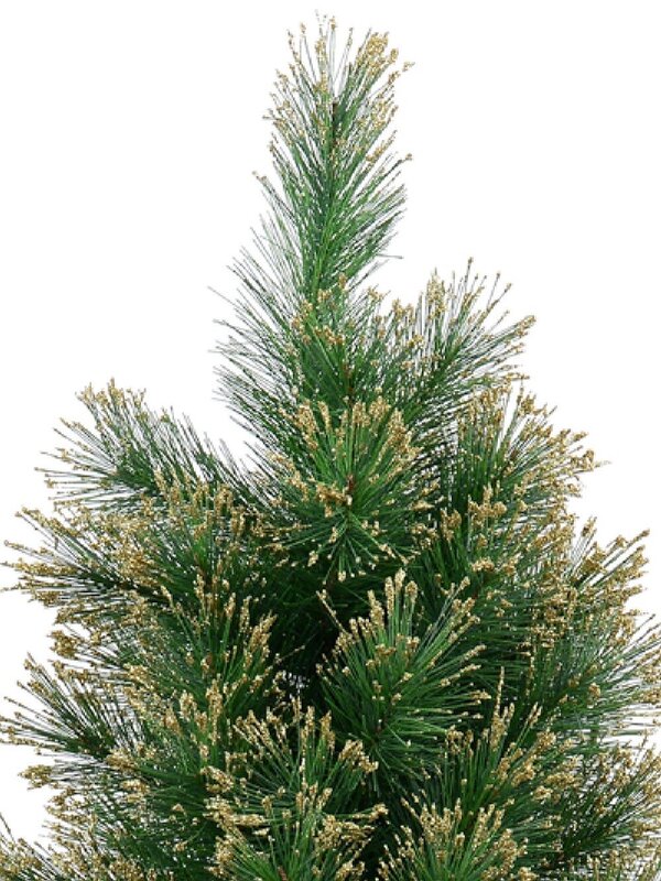 Gold Glittered Needle Tip Pine Tabletop Christmas Tree with 96 Tips - 90cm