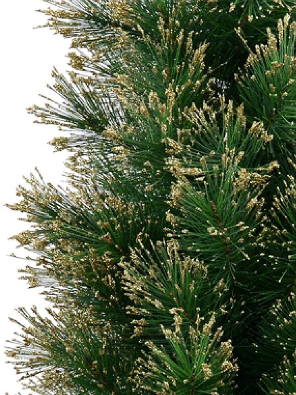 Gold Glittered Needle Tip Pine Tabletop Christmas Tree with 96 Tips - 90cm