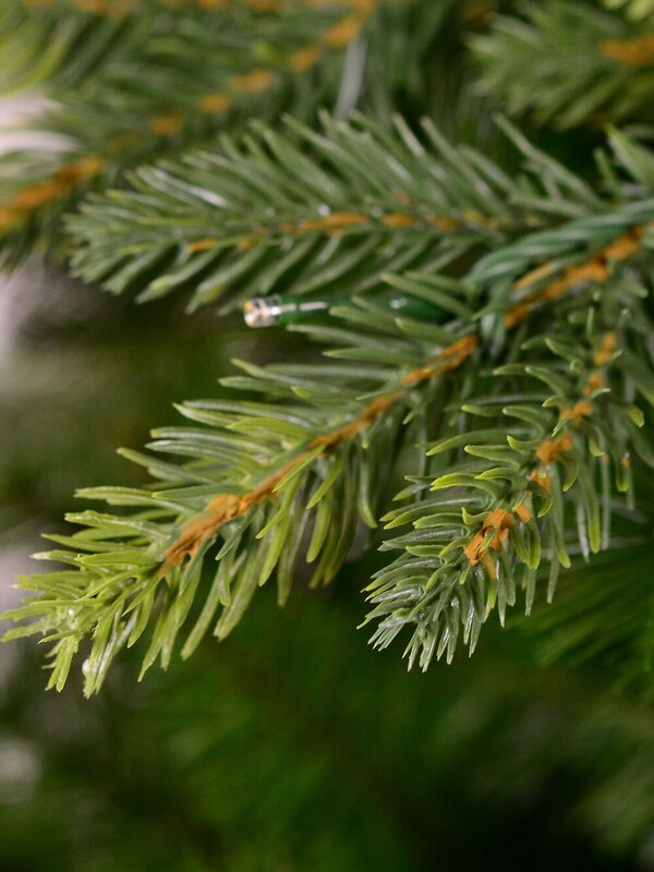 Magic Night Pre-lit Christmas Tree With Dual 1752 LED Lights & 1624 Tips - 2.3m