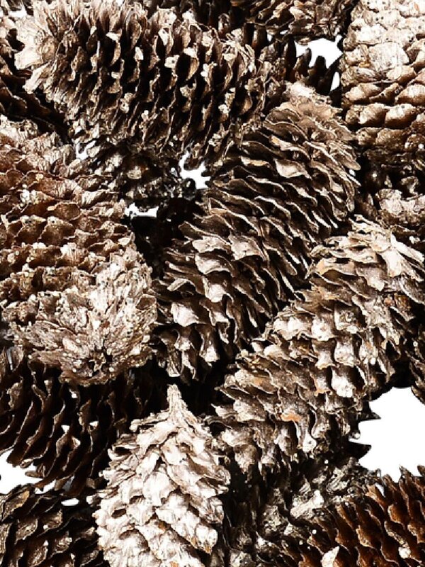 Natural Gold & Champagne Glittered Pinecones | 130g — image 2