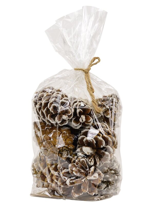 Natural White Snow Frosted Pinecones | 300g — image 5
