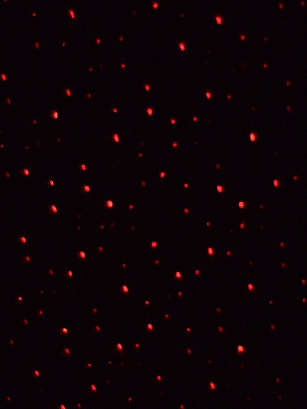 Red & Green Dot Starry Night LED Christmas Garden Laser Light | 5m x 5m — image 4