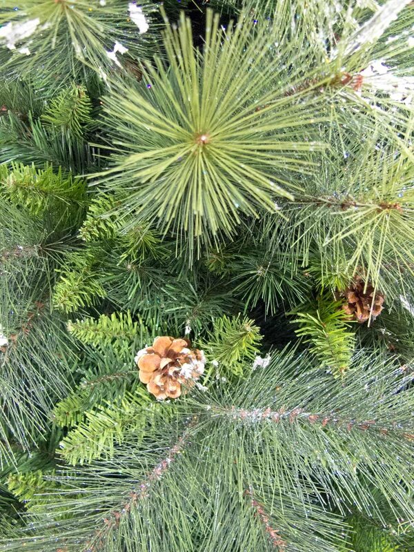 Siberian Cedar Pine Christmas Tree With 797 Tips - 1.8m — image 3
