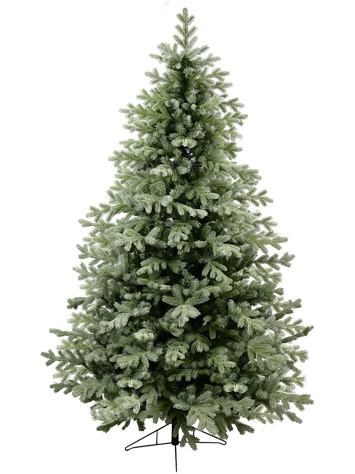 2.3m Alpine Mist Richmond River Spruce Christmas Tree | 1822 Awl Shape Tips