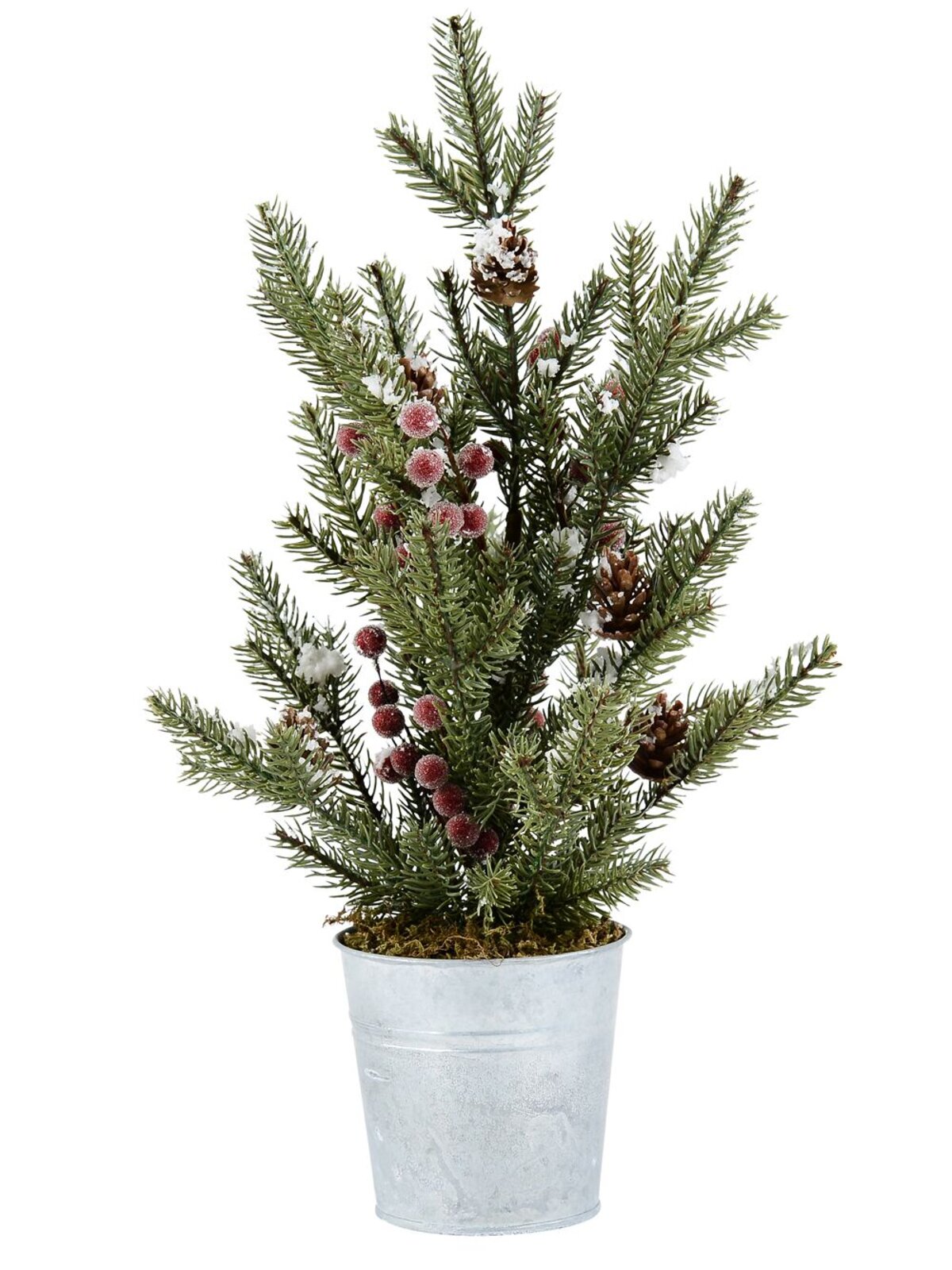 40cm Tasmanian Cedar Tabletop Christmas Conifer Tree | 37 Tips & Tin Pot