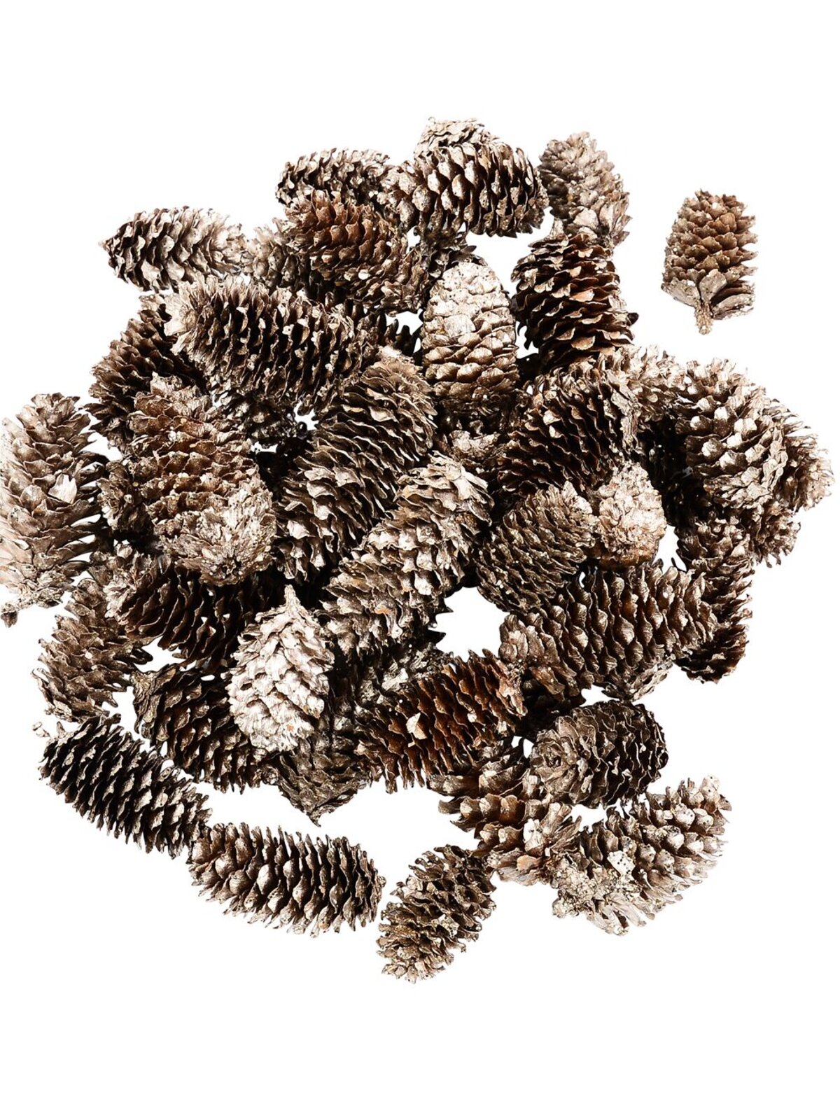 Natural Gold & Champagne Glittered Pinecones | 130g