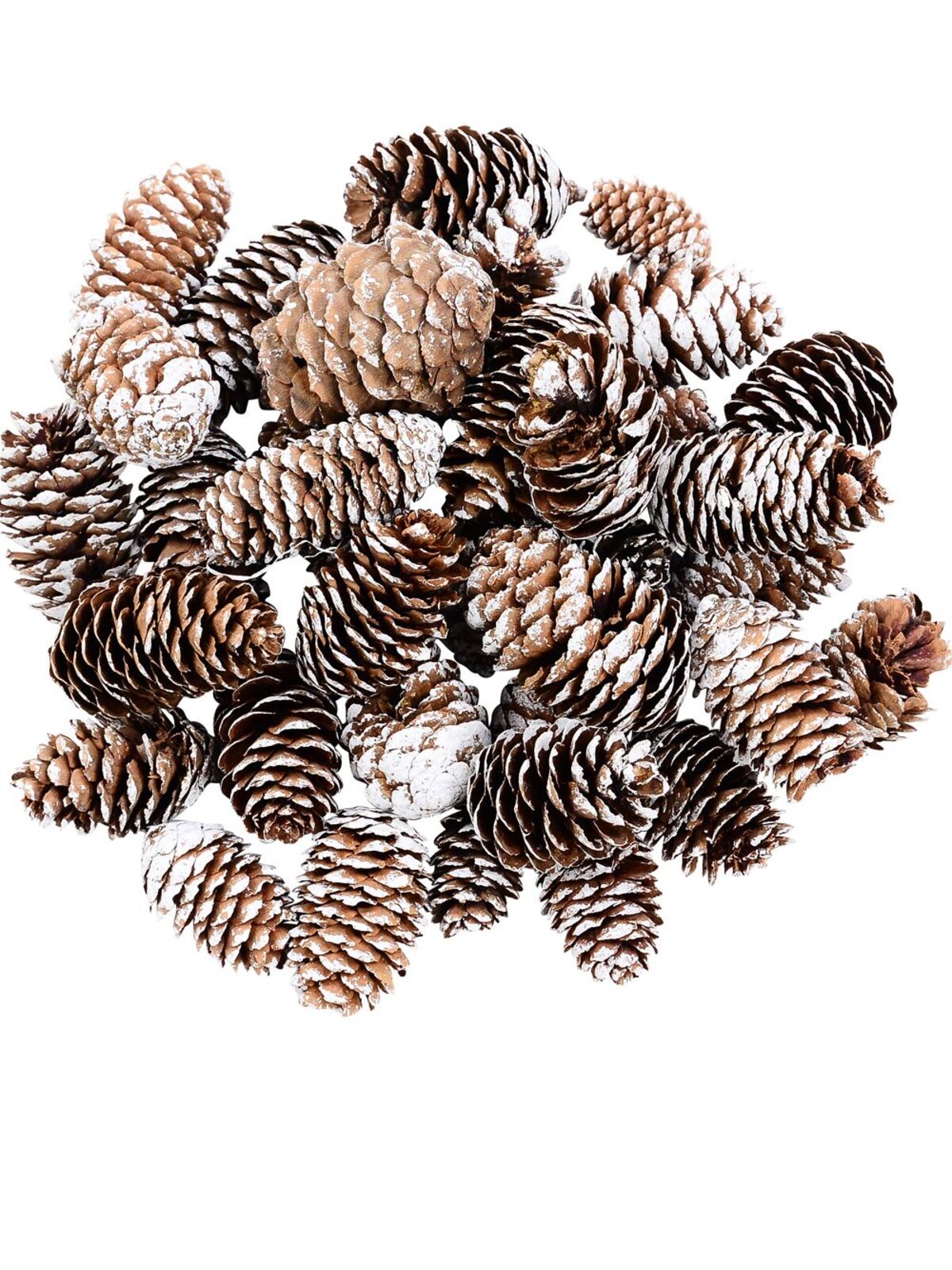 Natural White Frosted Natural Long Pinecone Mix | 150g