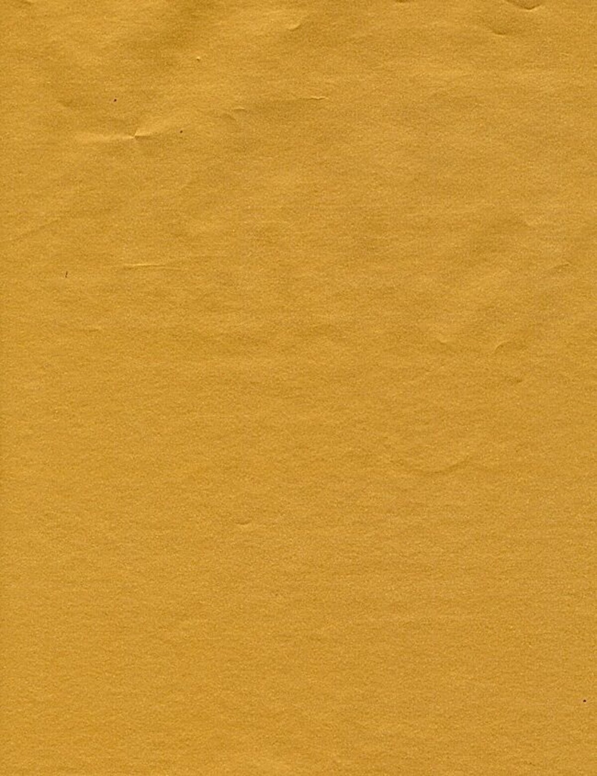 Solid Metallic Gold Wrapping Paper - 50m