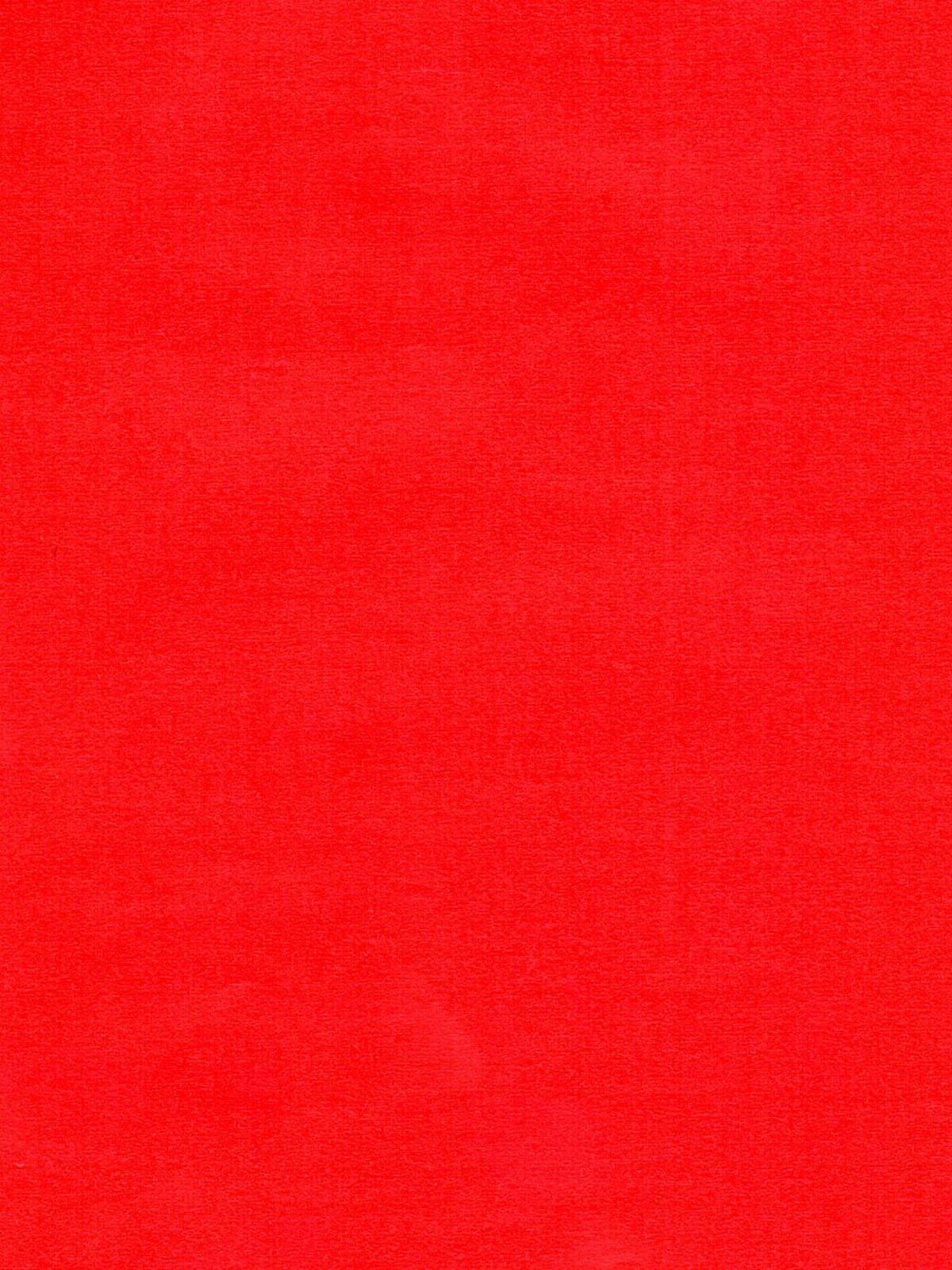 Solid Red Gift Wrap Counter Roll - 50m