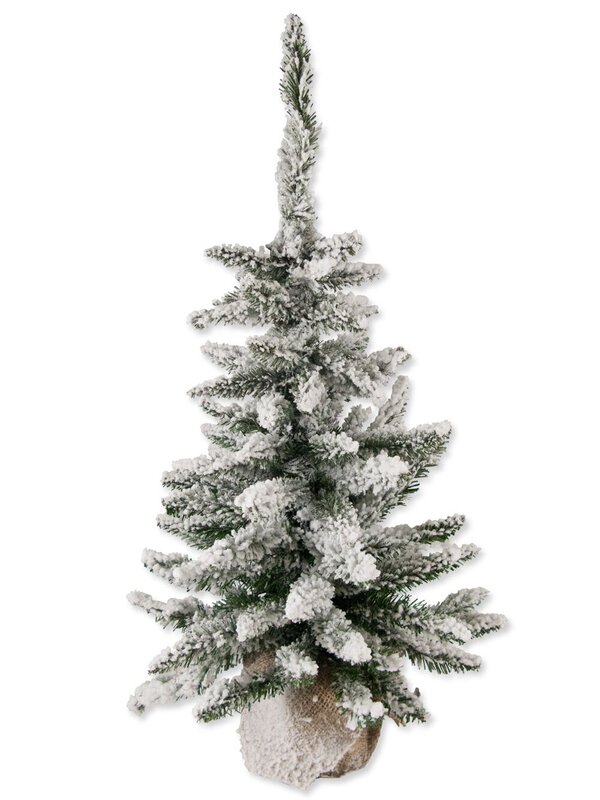 Antarctic Pine Table Top Tree - 45cm