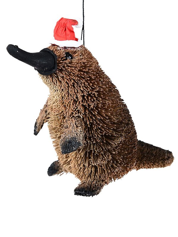 Native Platypus Whimsical Organic Australian Ornament | 13cm
