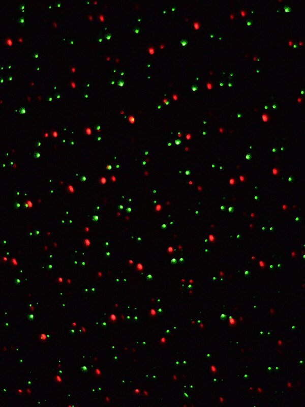 Red & Green Dot Starry Night LED Christmas Garden Laser Light | 5m x 5m