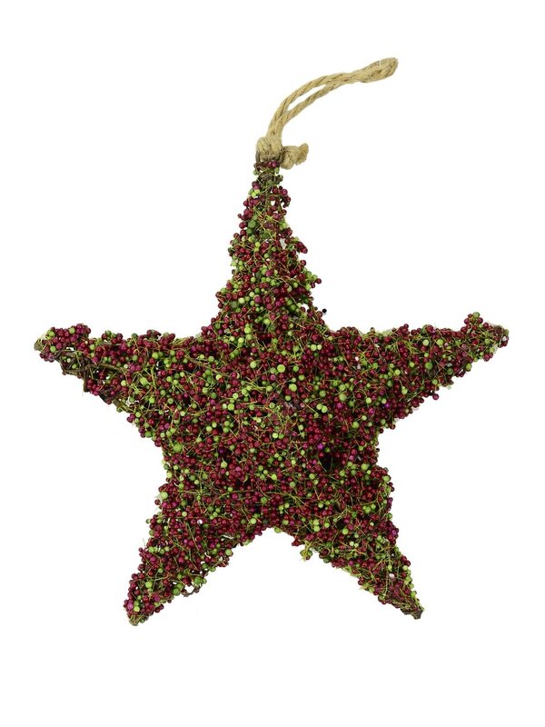 The Moss Vale Hanging Star Decoration - 23cm